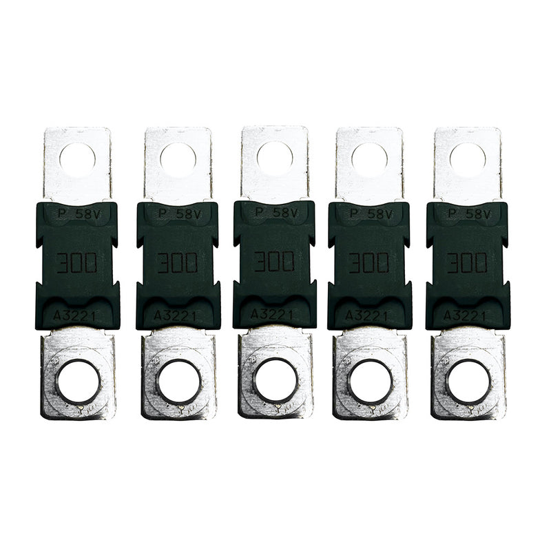 Victron MEGAFuse 300A58V f48V Products Package of 5 Pieces CIP138300020