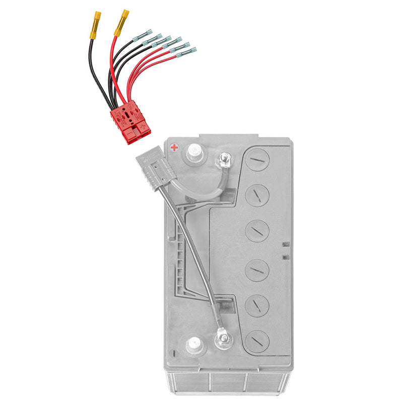 ConnectEase Multi 4 Lead Accessory fMain Battery RCE12VB4