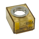 Egis MRBF Terminal Fuse  100 Amp 3603100