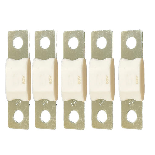 Victron MEGA Fuse 100A80V Package of 5 Pieces CIP138100020
