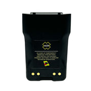 ACR RB16V Rechargeable LithiumIon Battery 4589