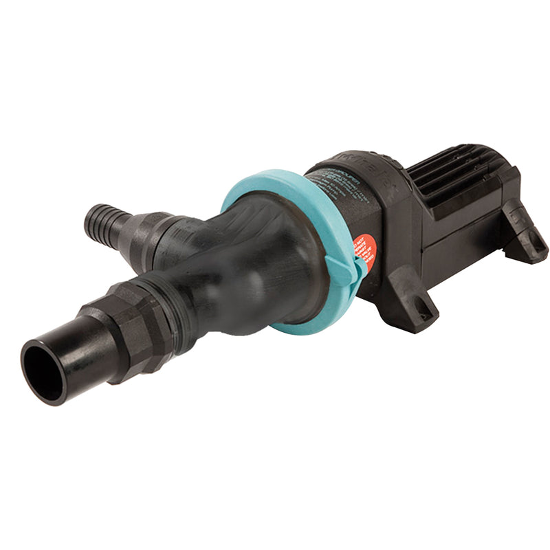Whale Gulper Grouper Mk3 FishboxWaste Pump w90 Degree Ports  24V BP4774
