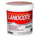 Forespar Lanocote Rust  Corrosion Solution  16 oz 770003