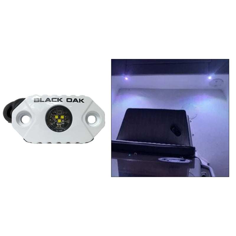 Black Oak Rock Accent Light  White LEDs  White Housing MALW